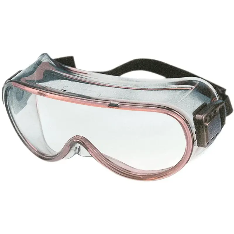 Safety Goggles Perspecta