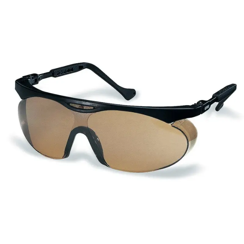 Uvex Pheos CX2 Safety Glasses